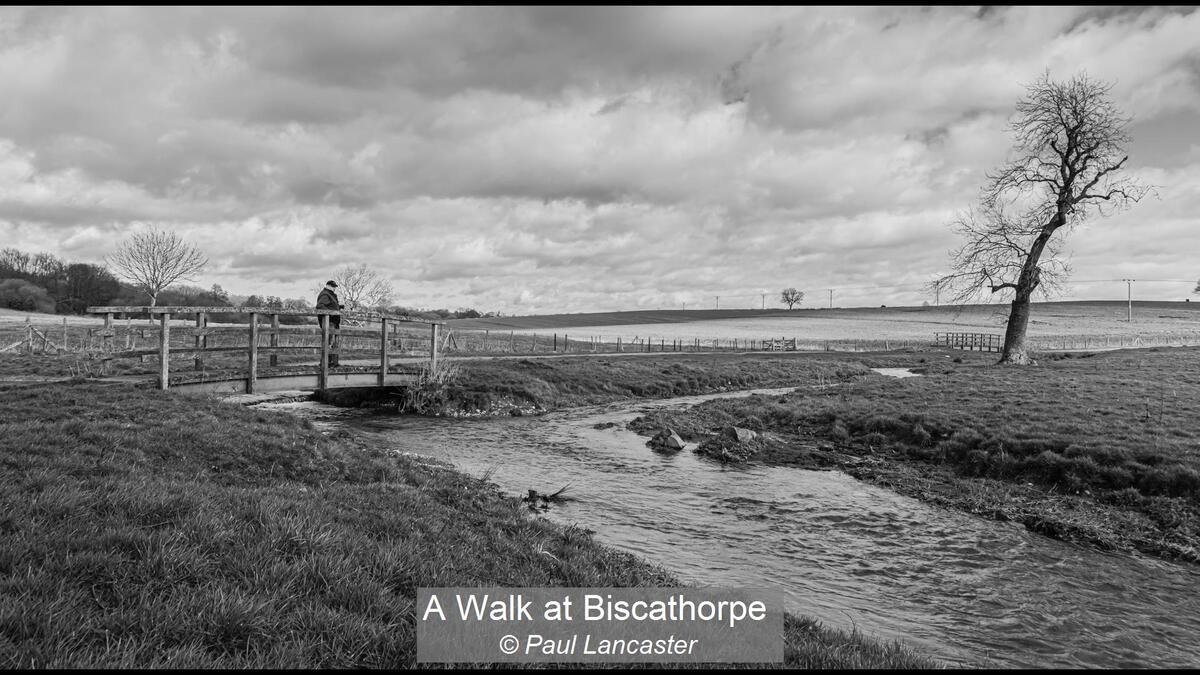 19_A Walk at Biscathorpe_Paul Lancaster